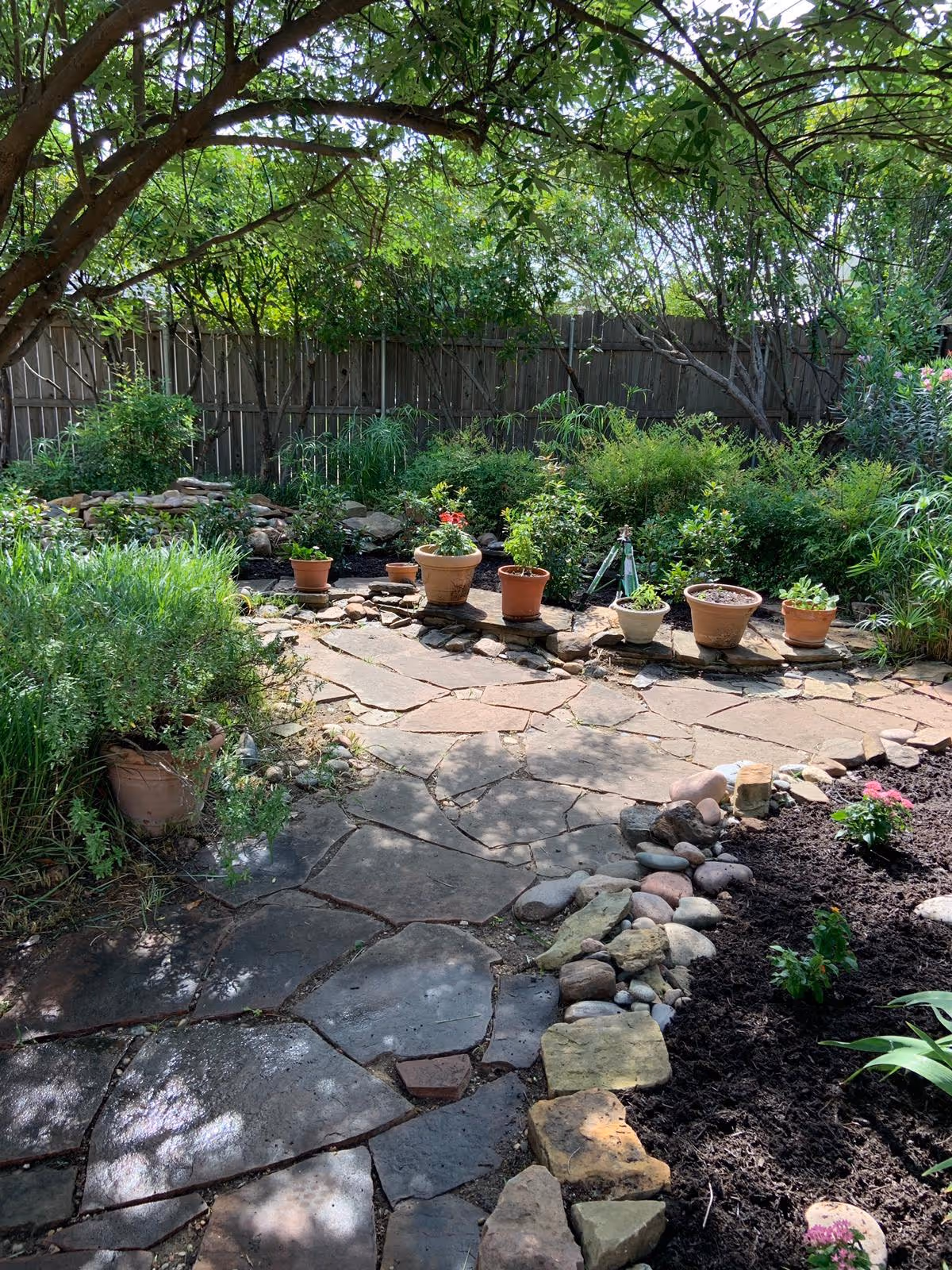 A peaceful garden area with a stone pathway surrounded by various green plants and shrubs. Several potted plants are arranged on a low stone wall, and trees provide shade overhead. A wooden fence encloses the garden space.