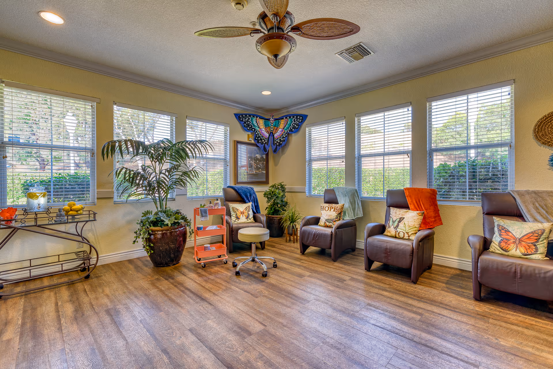 Sunlit senior living lounge with several recliner chairs, potted plants, a decorative butterfly on the wall, and a ceiling fan.