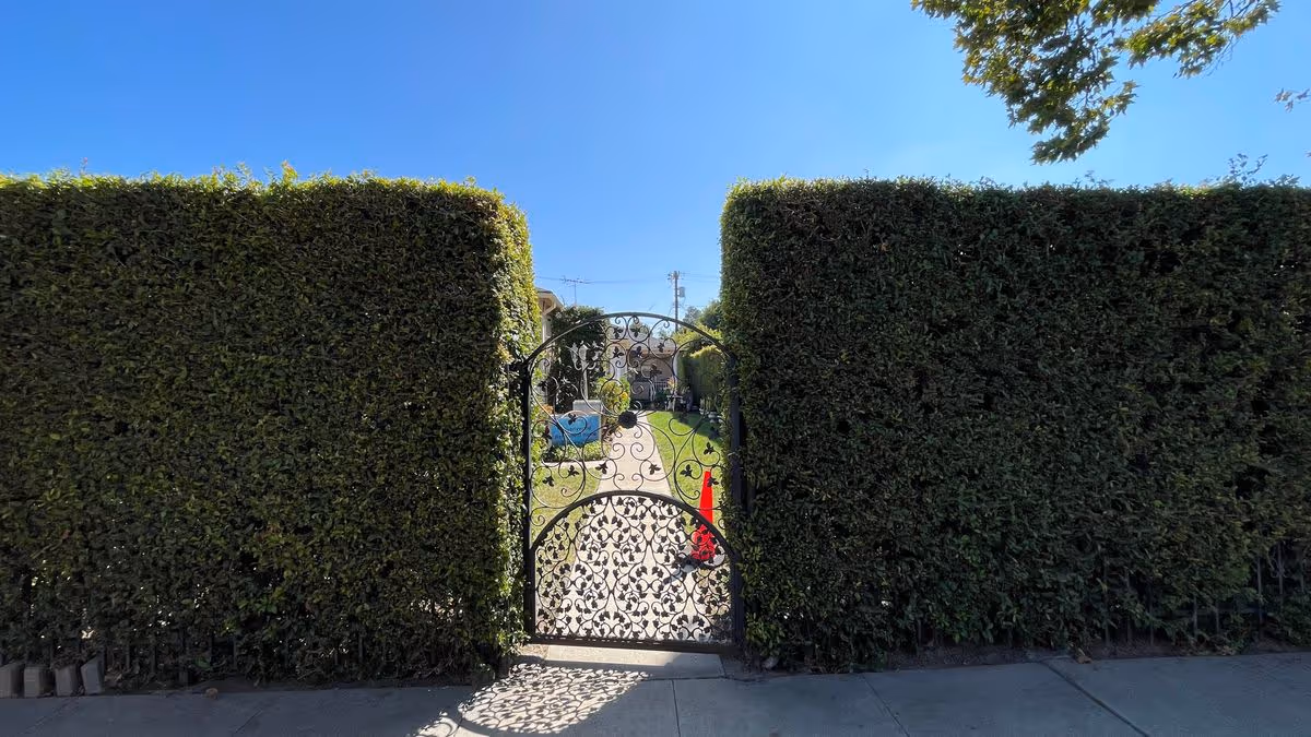 Ornate metal gate set between tall trimmed hedges opening to a sunny walkway and lawn.