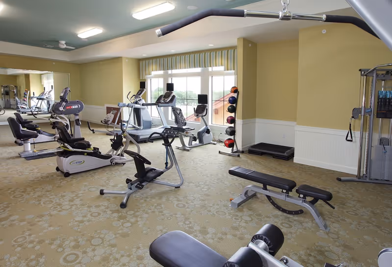 Fitness room with treadmills, recumbent bikes, weight benches, and a medicine ball rack by large windows.