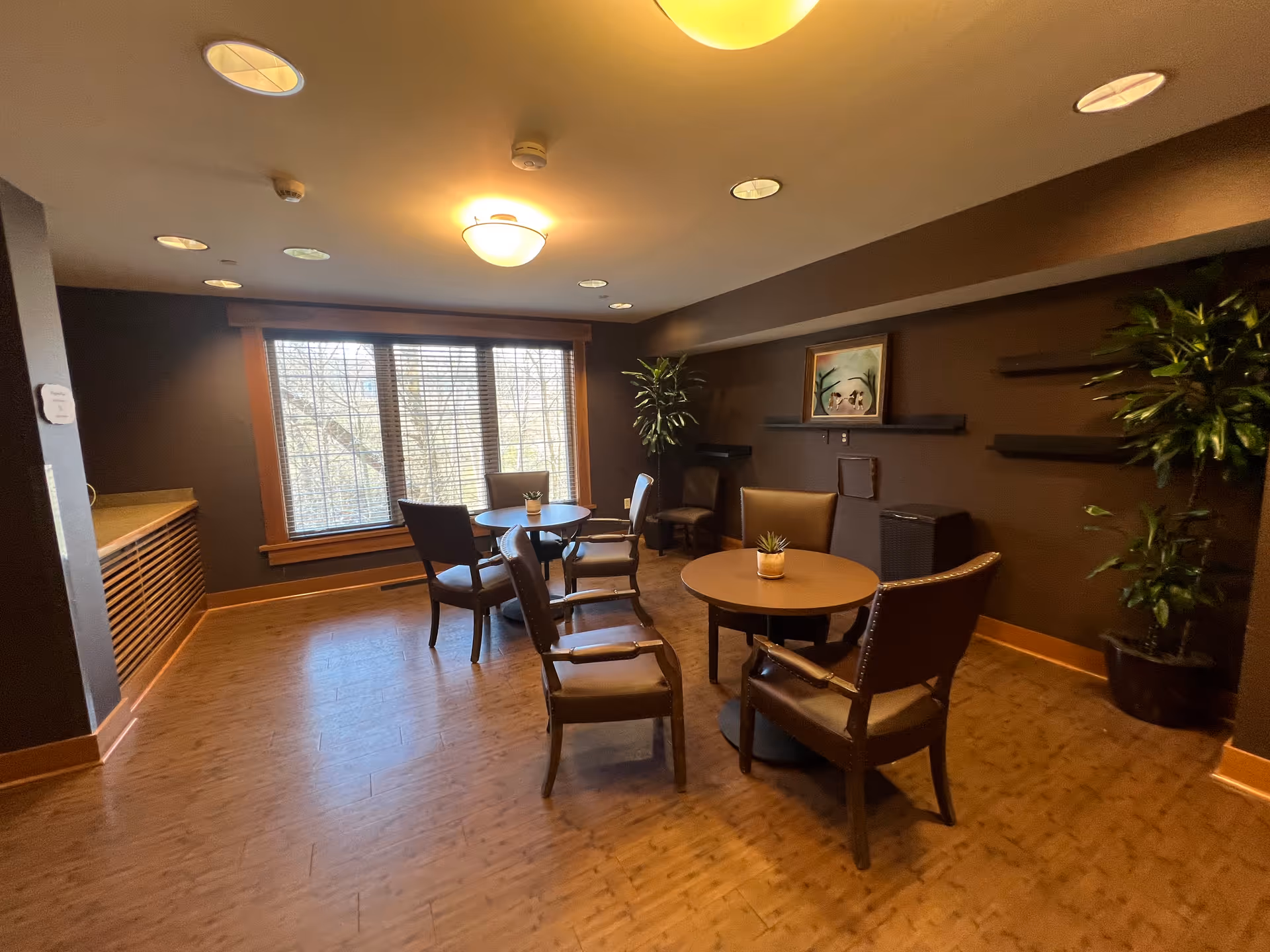 A cozy interior room with two round tables, each surrounded by four brown cushioned chairs. The room has wooden flooring, dark brown walls, and a large window with blinds letting in natural light. There are two potted plants in the corners, a painting on the wall, and several empty wall shelves.