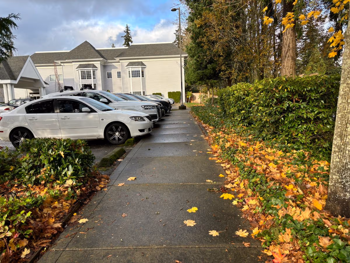 Sidewalk beside a row of parked cars and hedges leading to a white multi-story building with fallen autumn leaves.