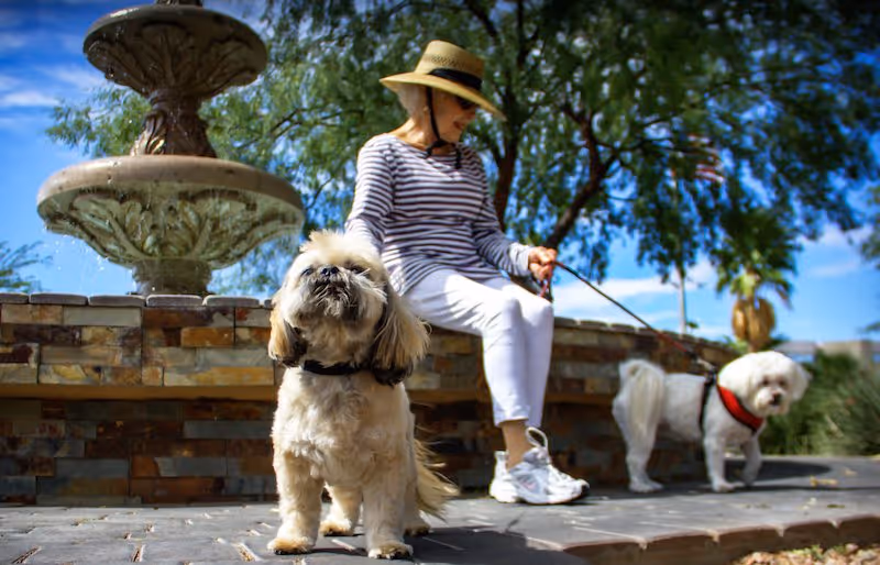An elderly woman wearing a striped shirt, white pants, white sneakers, and a wide-brimmed hat is sitting on a stone ledge near a decorative water fountain. She is holding leashes for two small dogs, one standing close to the camera and the other further away. The scene is outdoors with trees and a clear blue sky in the background.