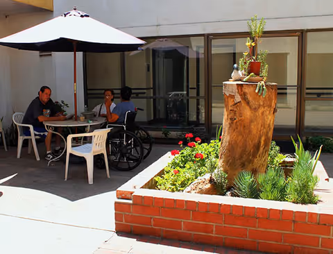 Three people sitting at a round outdoor table under a large white umbrella in a courtyard. One person is in a wheelchair. There is a raised brick planter with various green plants and a tree stump in the foreground. The background shows windows and a building wall.