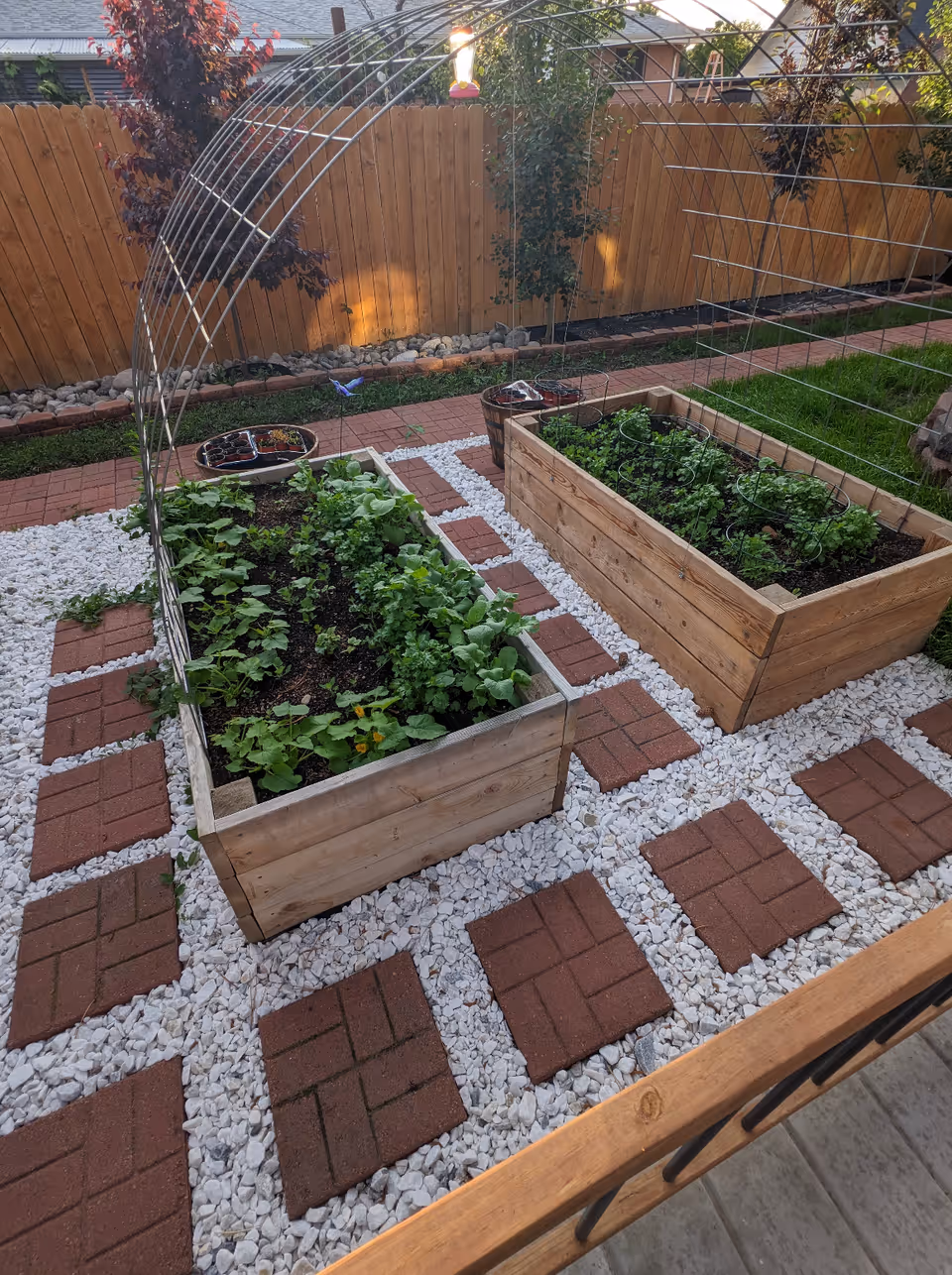 A garden area with two raised wooden garden beds filled with various green plants. The garden beds are surrounded by white gravel and red brick pavers arranged in a grid pattern. There is a metal arch structure over the garden beds, and a wooden fence with trees and shrubs in the background.