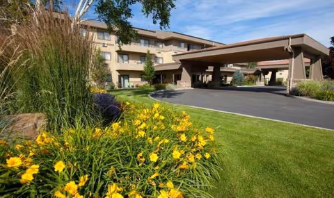 Exterior view of a multi-story senior living building with a landscaped entrance and yellow flowers.