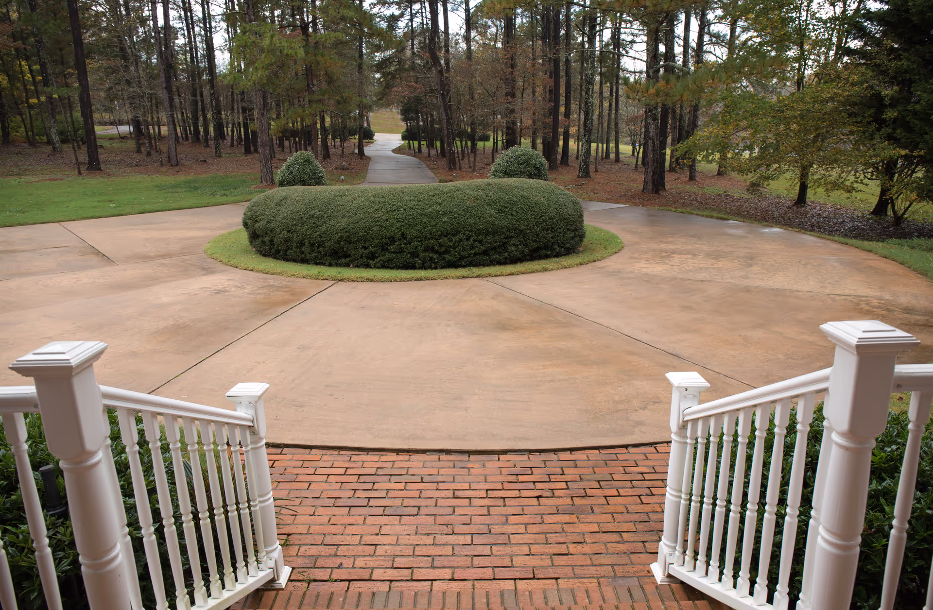 View from the top of white wooden stairs looking out onto a circular driveway with a large green shrub in the center, surrounded by trees and grass.