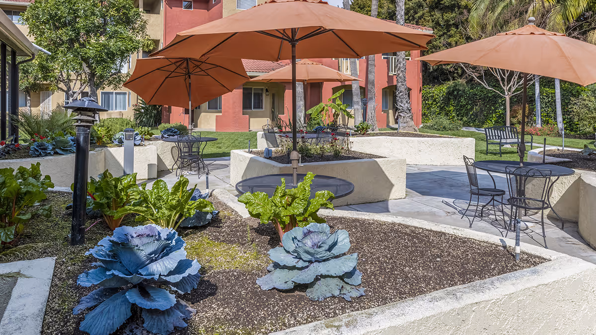 Outdoor garden area with raised planting beds containing leafy green plants and cabbages. Several round metal tables with chairs and large orange umbrellas are arranged on a concrete patio. In the background, there is a multi-story building with red and beige walls and windows, surrounded by trees and greenery.