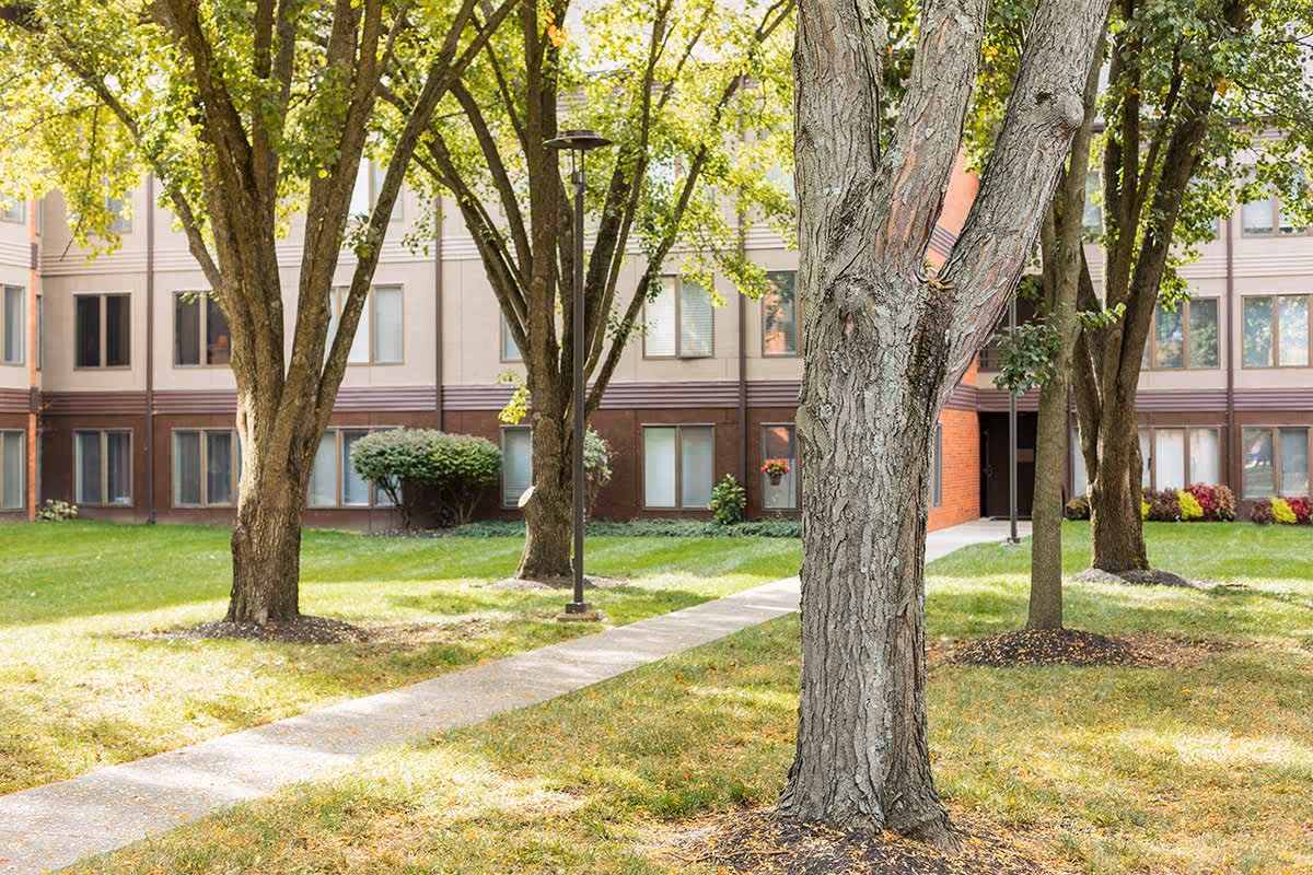 A grassy courtyard with mature trees and a sidewalk in front of the multi-story exterior of a senior living building.