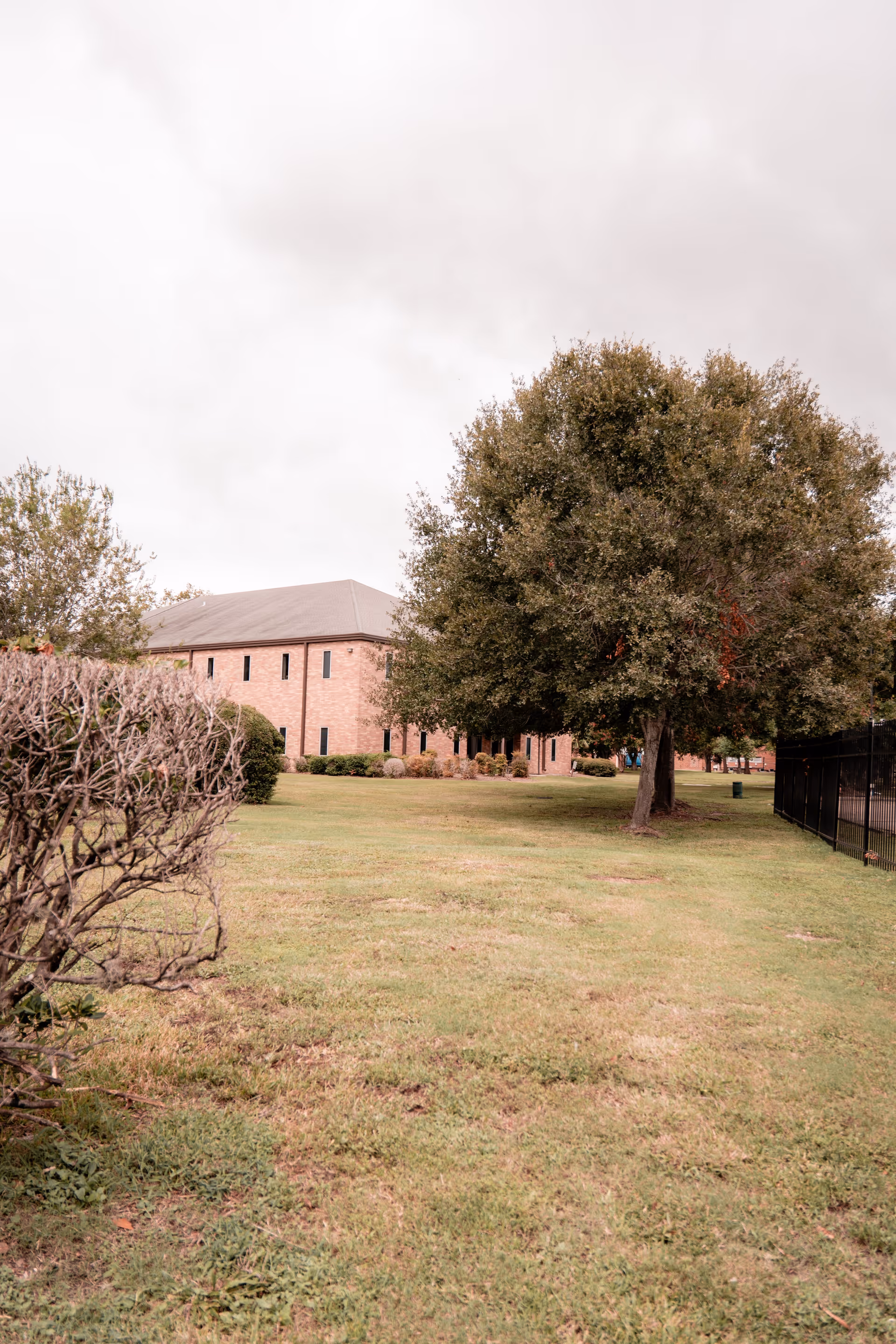 A grassy outdoor area with a large tree and trimmed bushes near a two-story brick building under a cloudy sky.