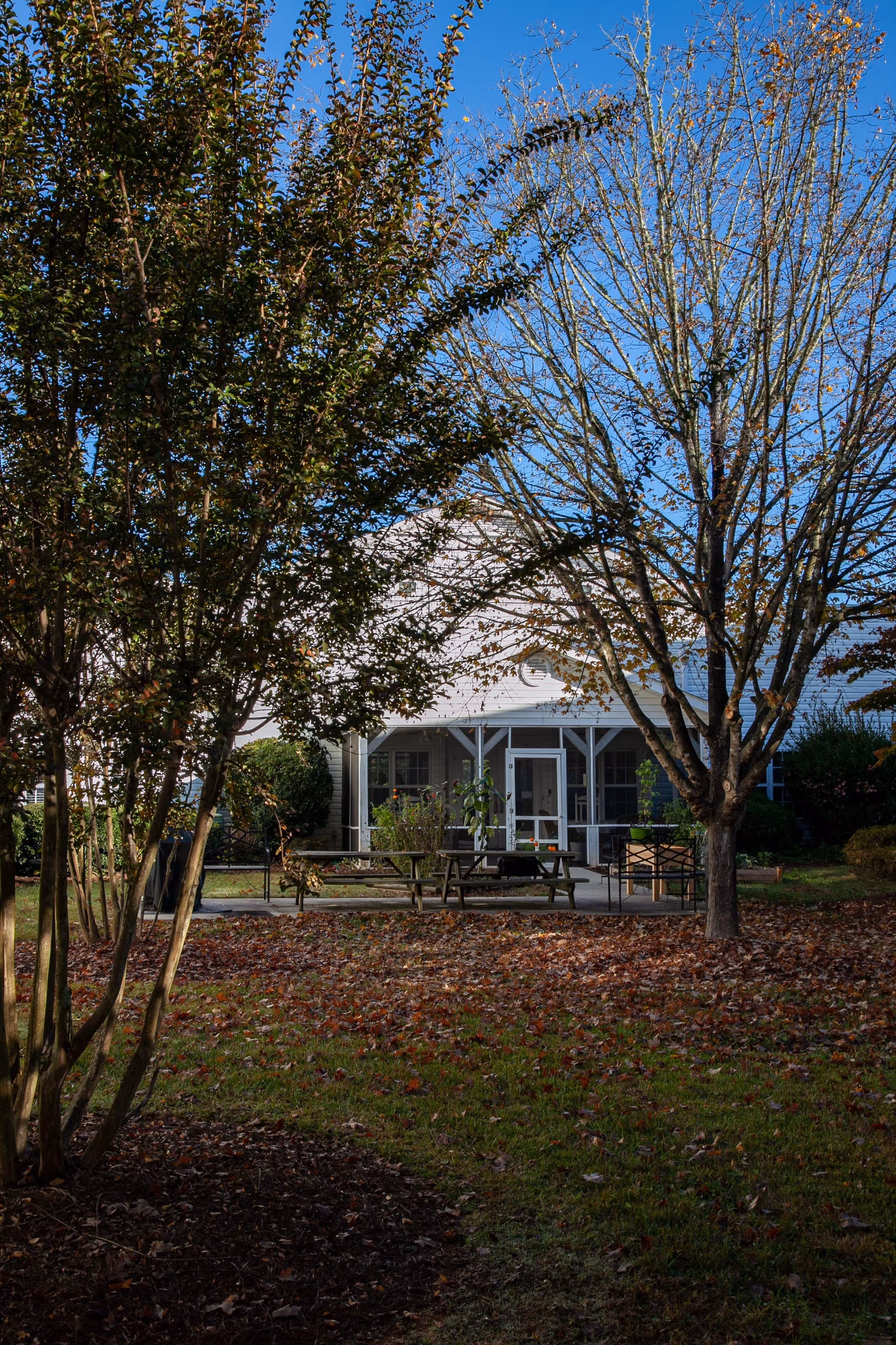 Courtyard with picnic tables and trees in front of a white building under a clear blue sky.