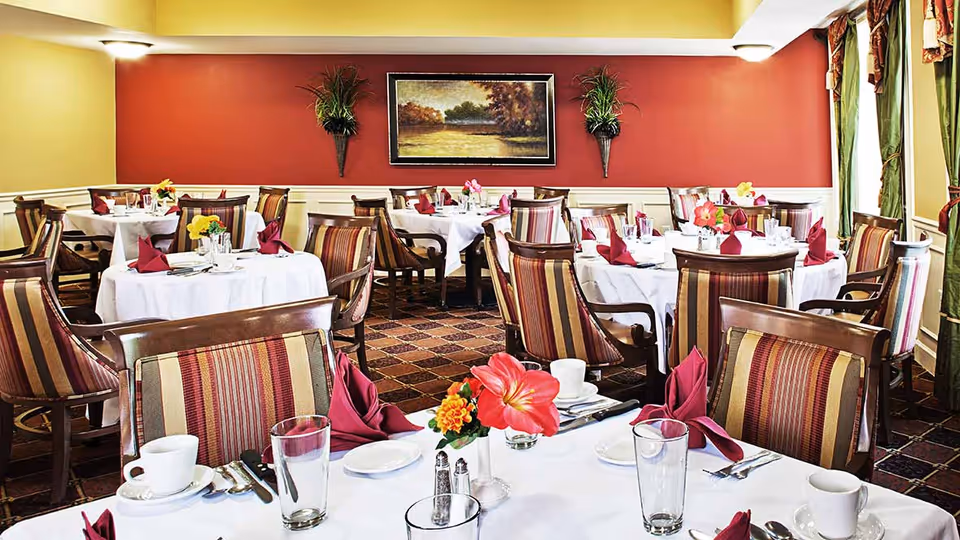 A dining room with multiple round tables covered in white tablecloths, each set with cups, glasses, silverware, and napkins folded in a decorative manner. The chairs have striped upholstery in shades of brown, red, and beige. The walls are painted yellow and red, with two wall-mounted plants and a framed landscape painting. Large windows with green curtains allow natural light into the room.