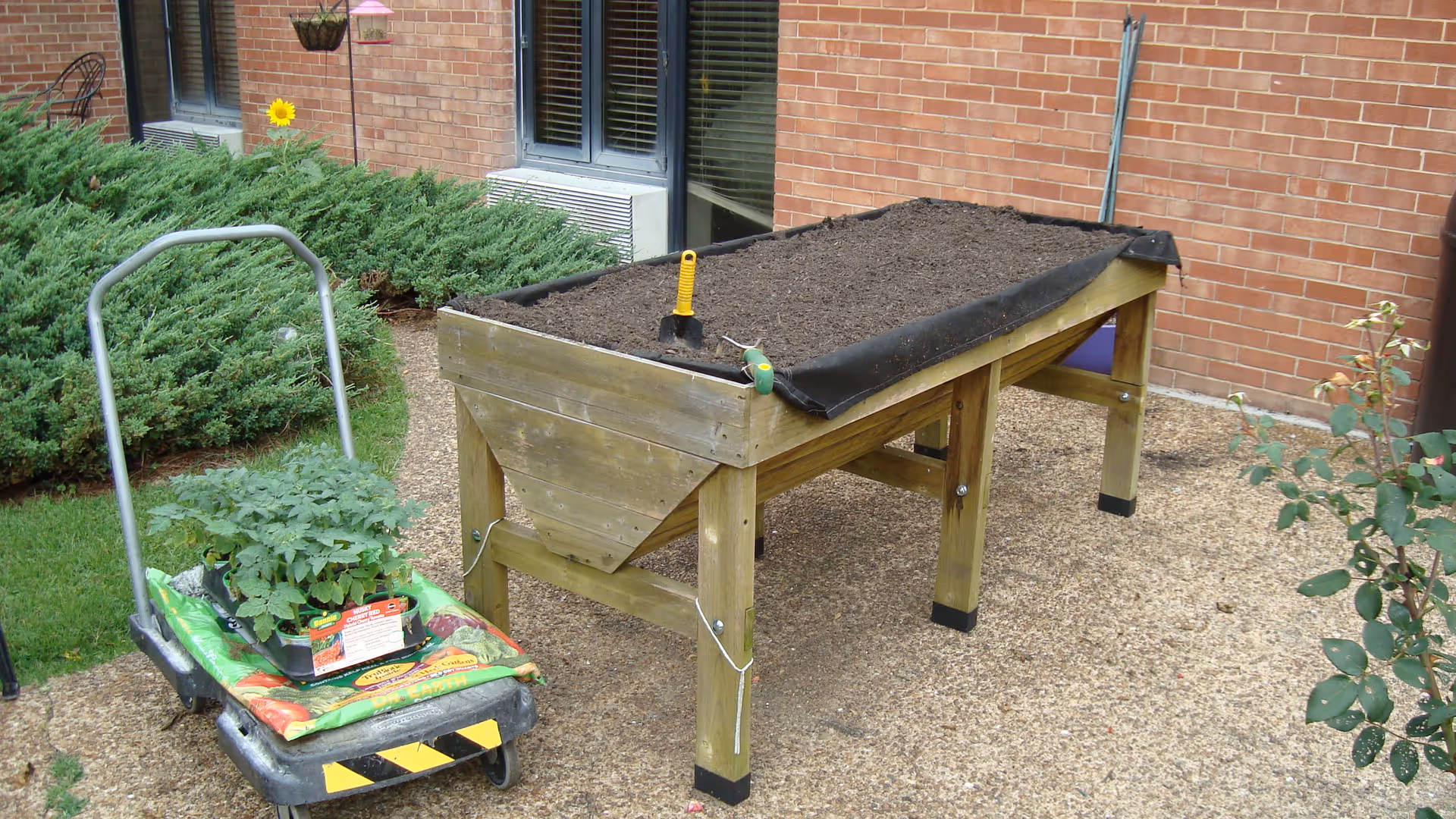 Outdoor gardening area with a raised wooden planter box filled with soil, a small gardening trowel and a hand rake placed on top. Next to it is a garden cart holding a tray of green plants and a bag of soil. The area is paved with gravel and surrounded by green shrubs and a brick building wall.
