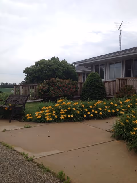 A garden area outside a building with a wooden deck railing, bushes, and a flower bed filled with yellow flowers. There is a metal bench on the left side and an antenna on the roof of the building under a cloudy sky.