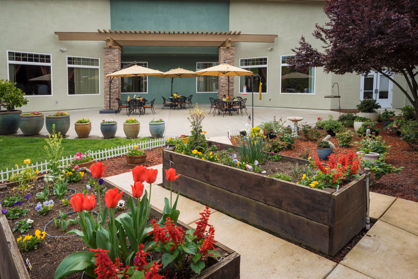 A landscaped outdoor courtyard with raised wooden garden beds full of flowers and patio tables with umbrellas in front of a building.