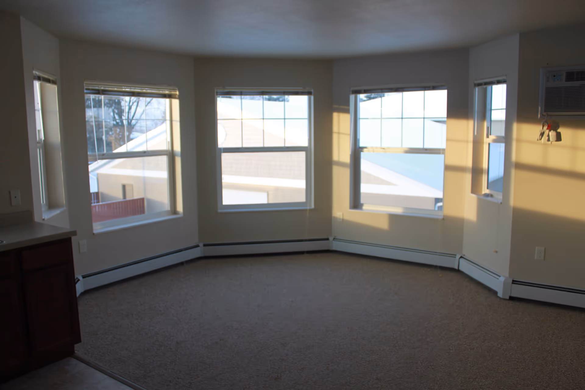 Empty sunlit living room with multiple bay windows, beige walls, carpeted floor, and baseboard heating.