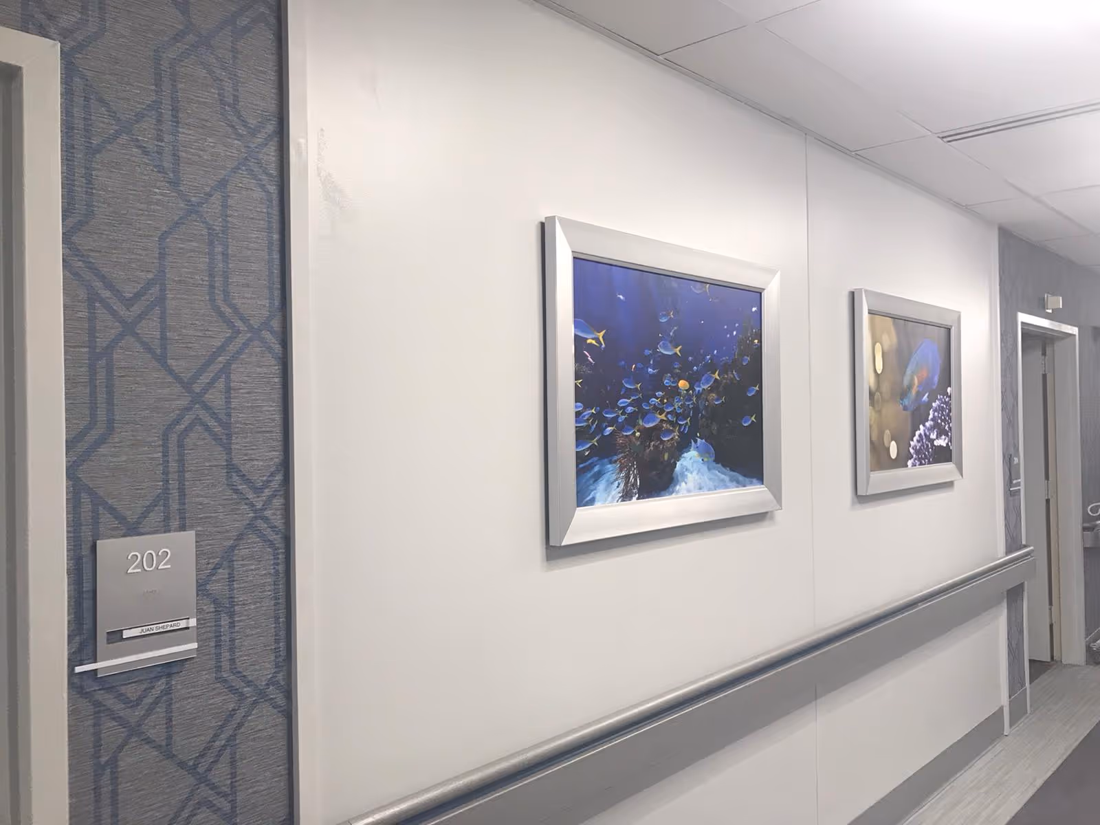 A hallway in a senior living facility with room number 202 visible on the left wall. The hallway has white walls with a gray patterned accent wall, two framed pictures of underwater scenes with fish, and a handrail running along the wall. The floor is covered with light-colored wood or laminate flooring.
