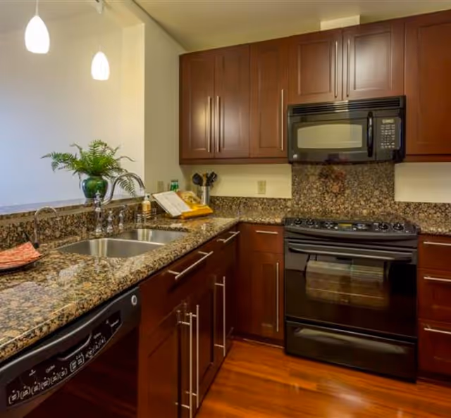 Modern kitchen with dark wood cabinets, granite countertops, a double sink, a black dishwasher, a black stove with oven, and a black microwave above it. There are two pendant lights hanging above the counter and a green plant in a vase near the sink.