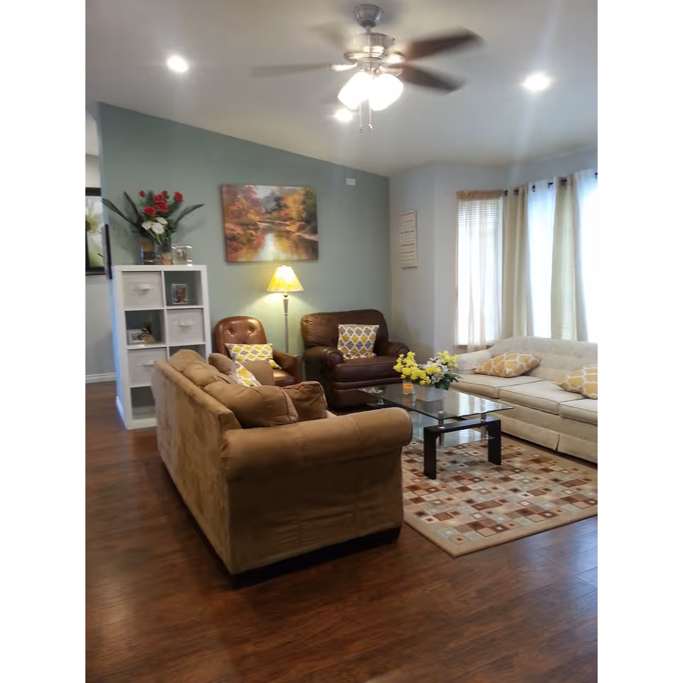 A cozy living room with a brown sofa, a beige sofa, and a brown leather armchair arranged around a glass coffee table on a patterned rug. The room has wooden flooring, light green and white walls, a ceiling fan with lights, a floor lamp, and windows with light curtains. There is a white shelving unit with decorative items and a painting of a nature scene on the wall.