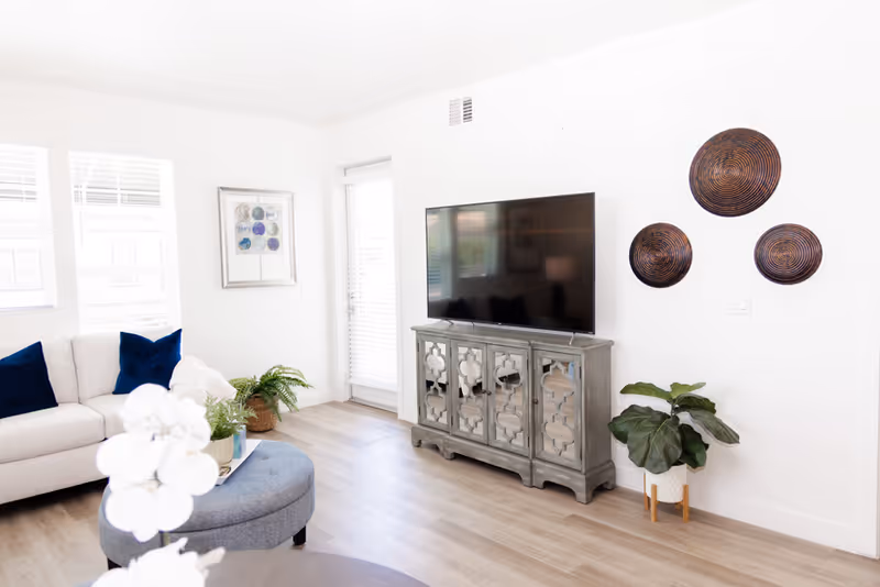 Bright modern living room with a white sofa, round ottoman, TV on a decorative console, wall art, and potted plants.