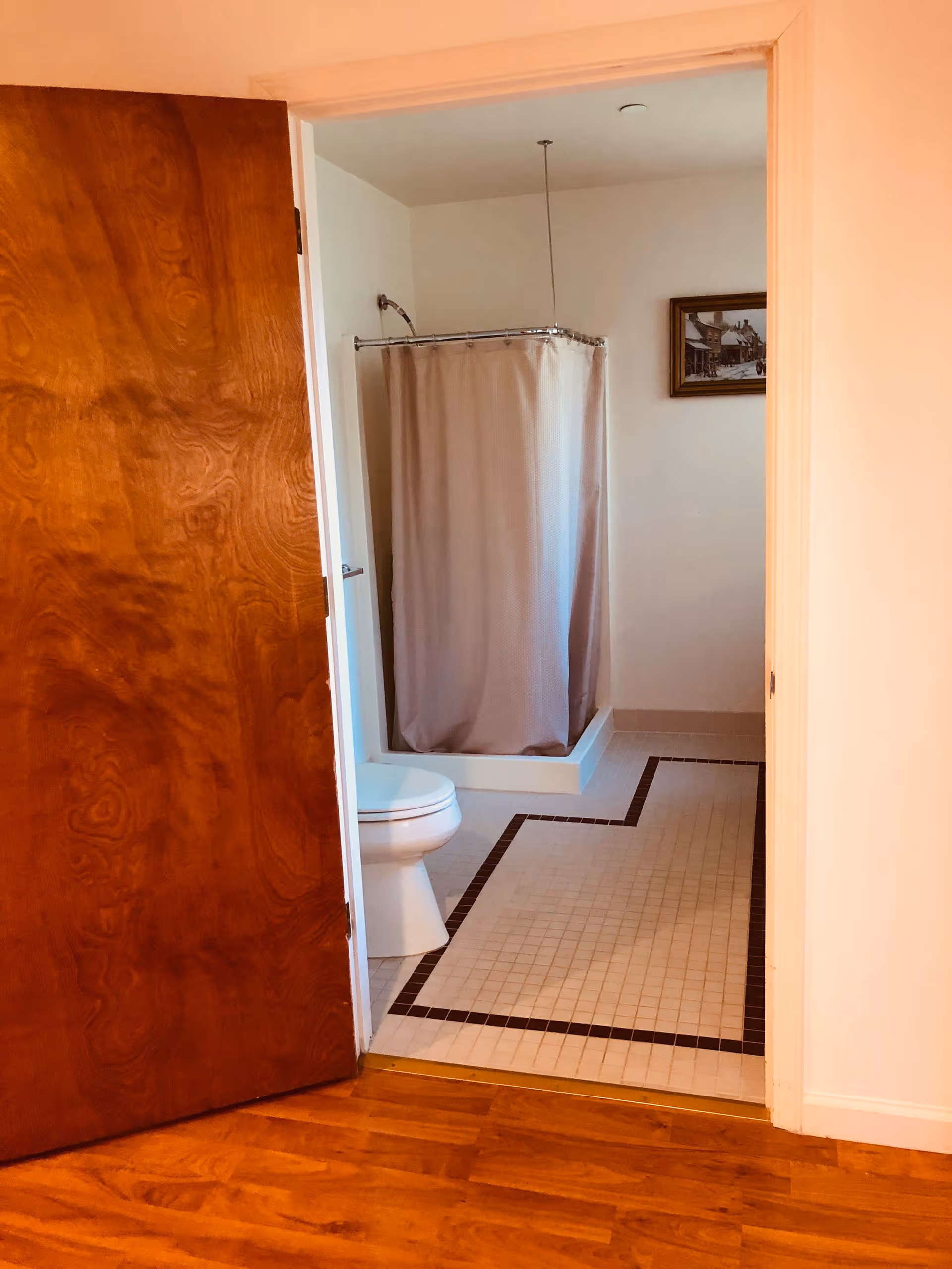 View through an open wooden door into a bathroom with a white toilet, a shower with a beige curtain, and tiled floor with a dark border pattern. A framed picture hangs on the wall.