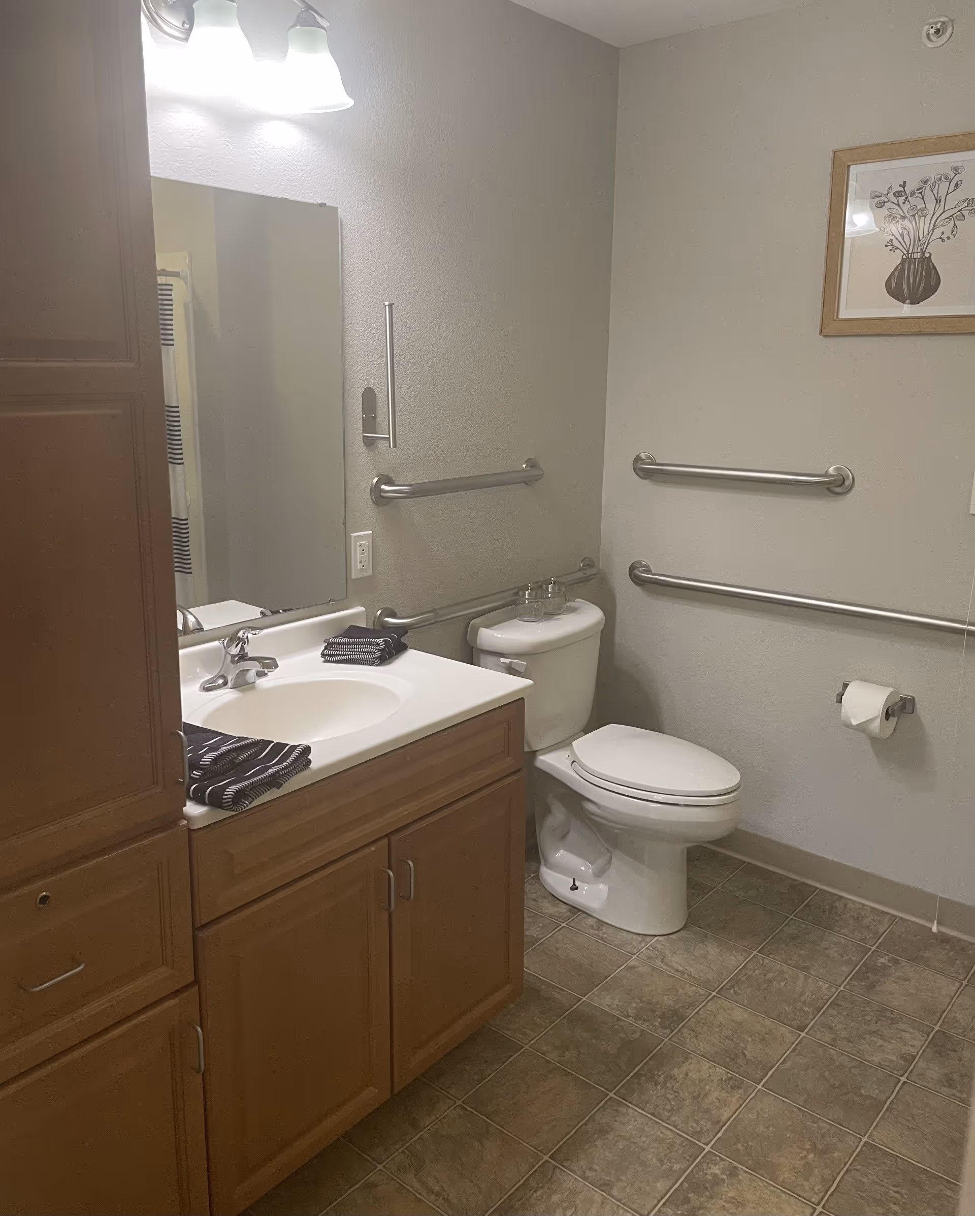 A clean bathroom with a white sink and countertop, wooden cabinets, a toilet with grab bars on the walls around it, a mirror above the sink, and a framed floral artwork on the wall.