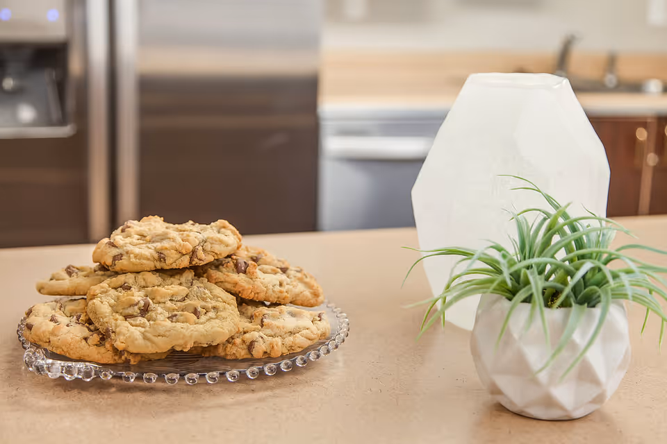 Plate of chocolate chip cookies on a kitchen island next to a white vase and a small potted plant.