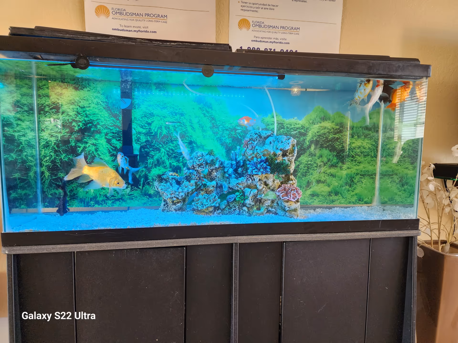 A large aquarium filled with water, colorful fish, and decorative rocks. The background of the aquarium shows an underwater scene with green plants. The aquarium is placed on a black stand, and above it are two signs for the Florida Ombudsman Program. There is a plant with white leaves to the right side of the aquarium.