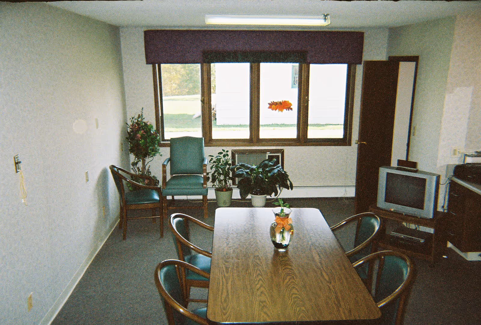 A small room with a rectangular wooden table surrounded by four chairs with green cushions. In the background, there are two additional chairs, several potted plants, and a window with a view of the outdoors. A small television sits on a stand to the right, and the walls are plain with a light color.
