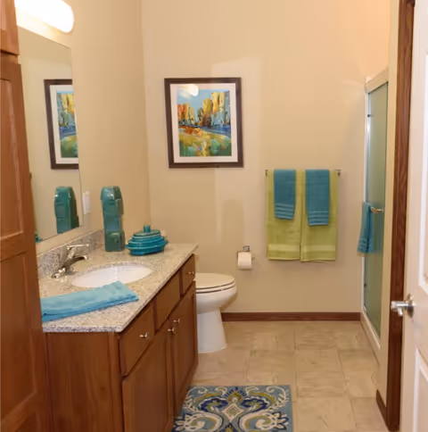 Well-lit bathroom with a vanity and sink, toilet, walk-in shower, and colorful towels and wall art.