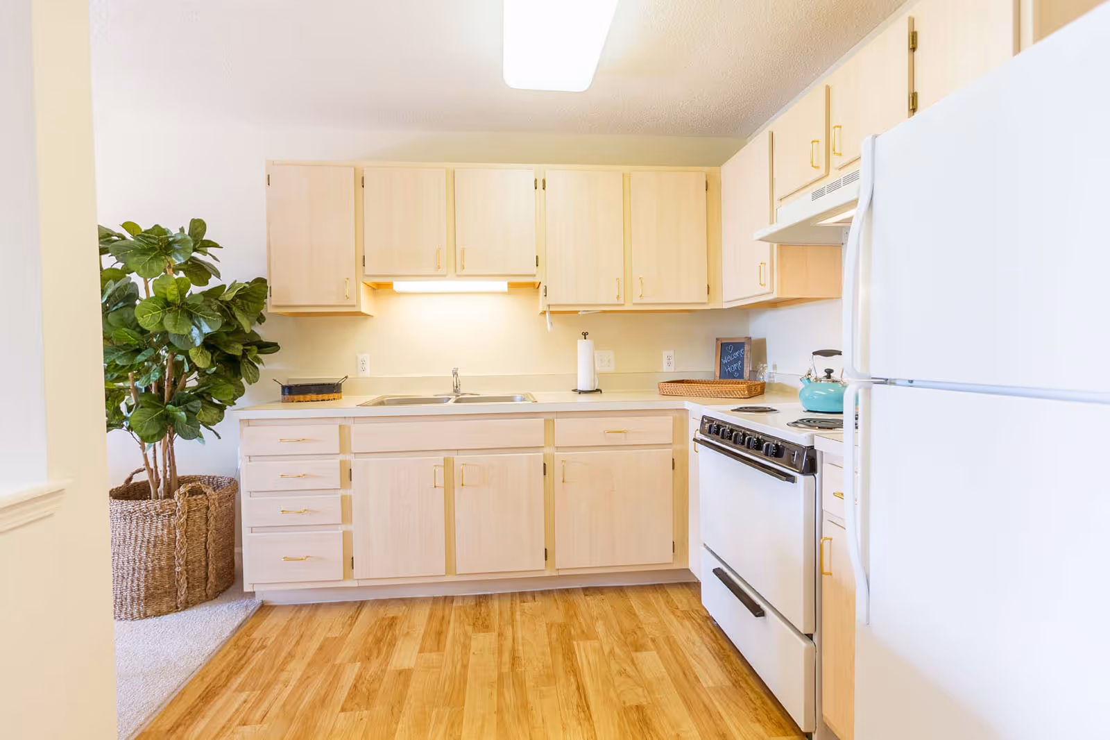 Bright kitchen with light wood cabinets, a white refrigerator and stove, a sink, and a large potted plant.