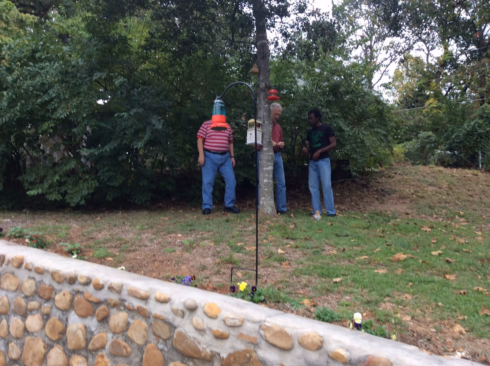 Three men standing on a grassy area near a tree with bird feeders hanging from a pole. There is a stone wall in the foreground and dense green trees in the background.