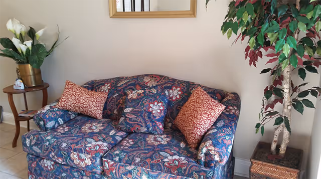 A patterned blue and red floral couch with three cushions, placed against a beige wall with a rectangular mirror above it. To the left of the couch is a small wooden side table with a vase of white flowers and some small items. To the right of the couch is a tall potted plant with green and red leaves in a woven basket planter.