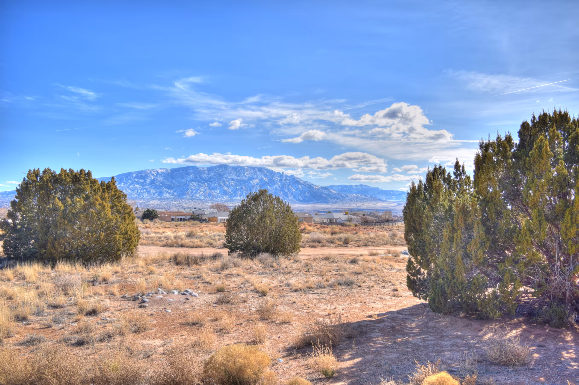 Dry open desert landscape with scattered shrubs and distant mountains under a blue sky.