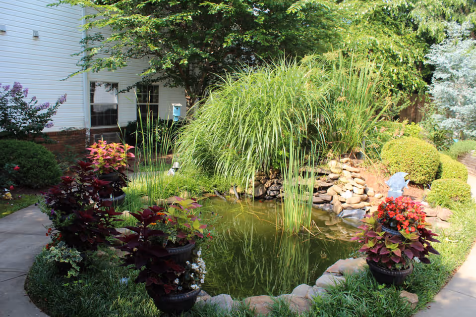 A landscaped courtyard pond surrounded by ornamental grasses, potted flowers, and a walkway beside a white building.