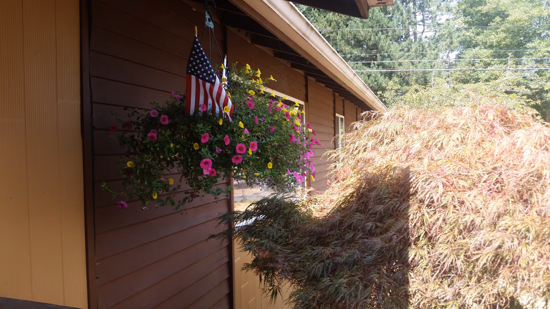 Outdoor view of a brown wooden building wall with a hanging basket of pink and yellow flowers and a small American flag. There is a large bush with reddish leaves in the foreground and green trees in the background.