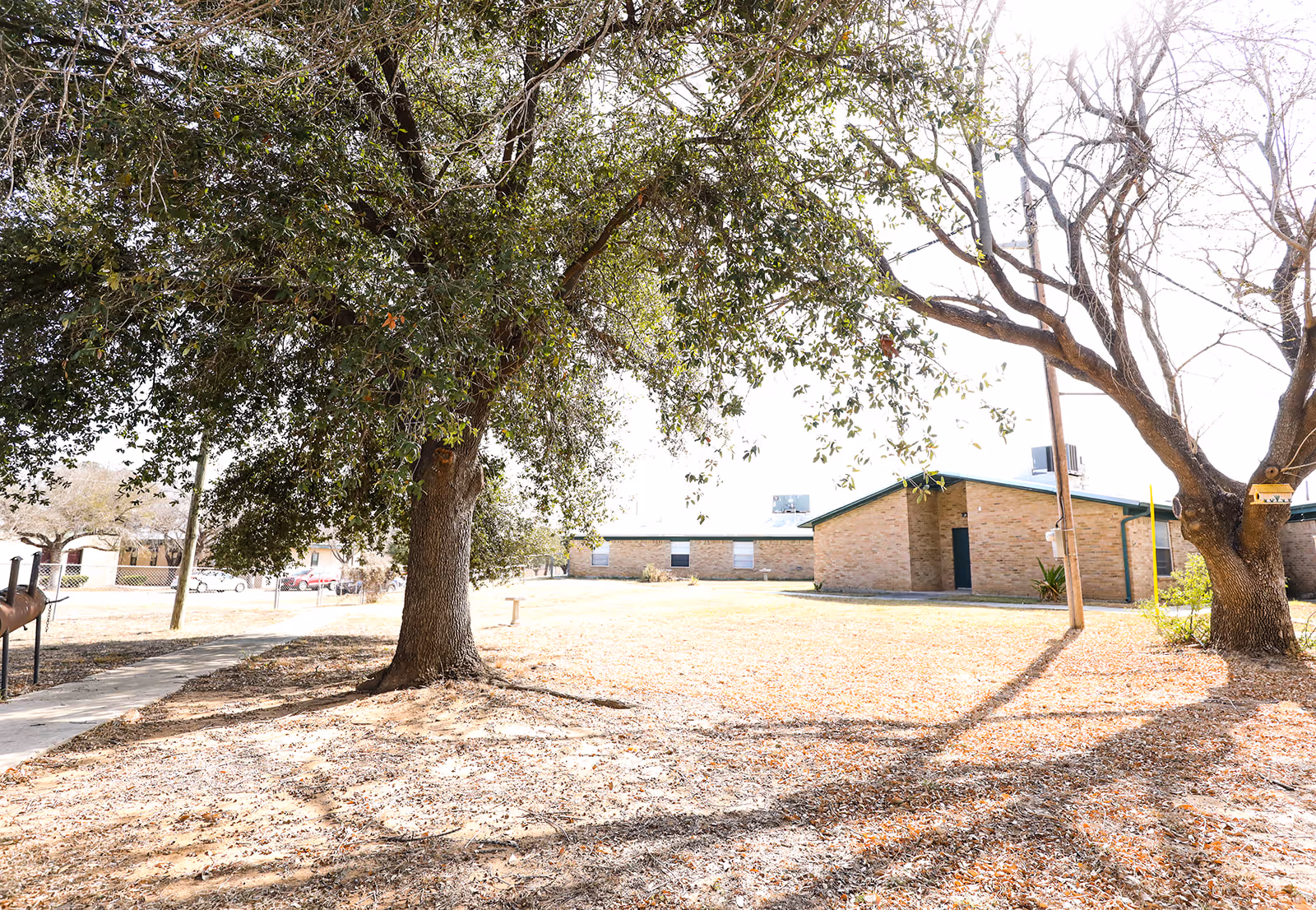 Outdoor view of a senior living facility with two large trees in the foreground and a single-story brick building in the background under a bright sky.