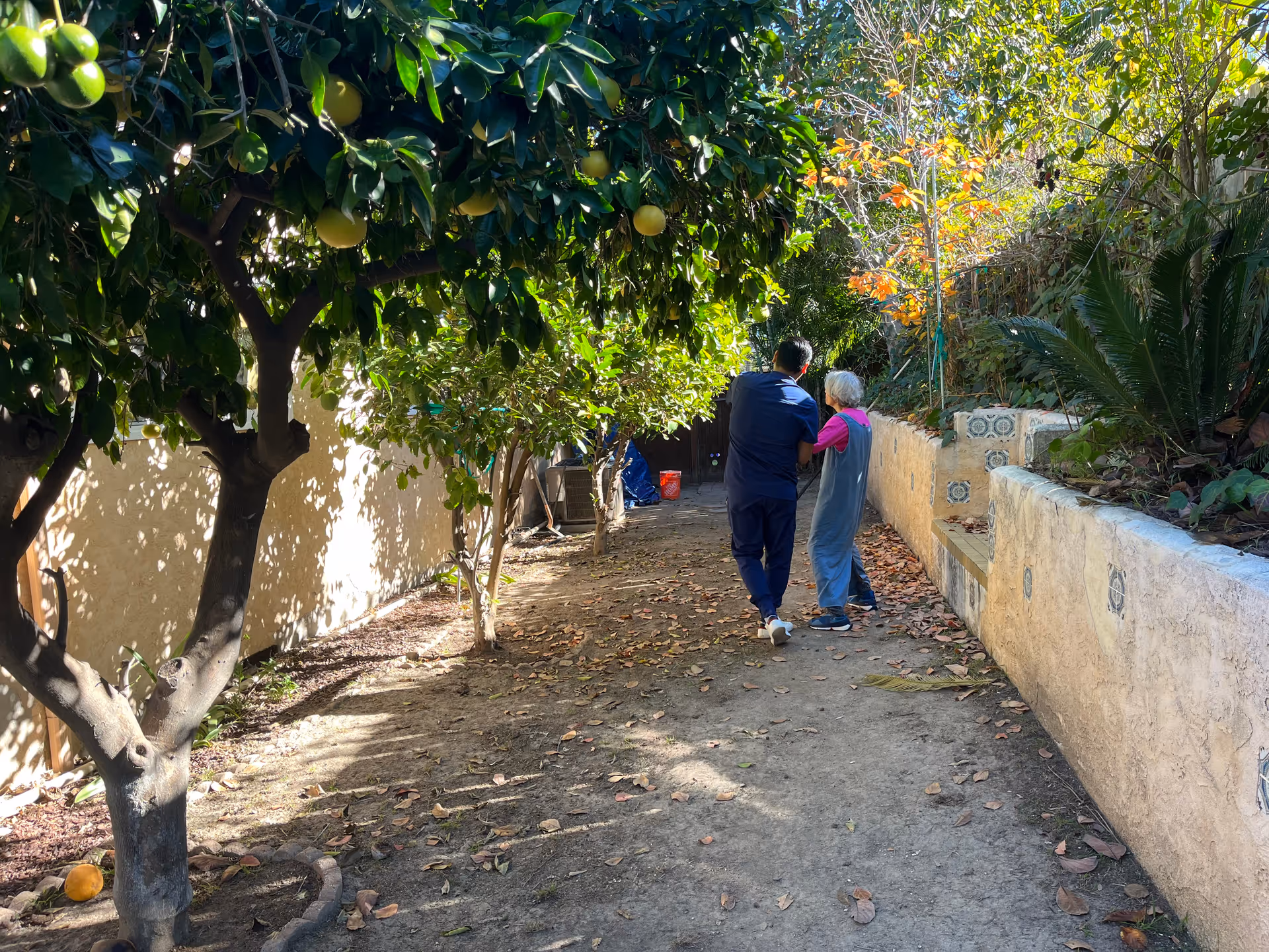 A caregiver walking outdoors with an elderly person along a shaded garden path lined with trees and plants. The path is covered with fallen leaves and bordered by a low wall with decorative tiles.