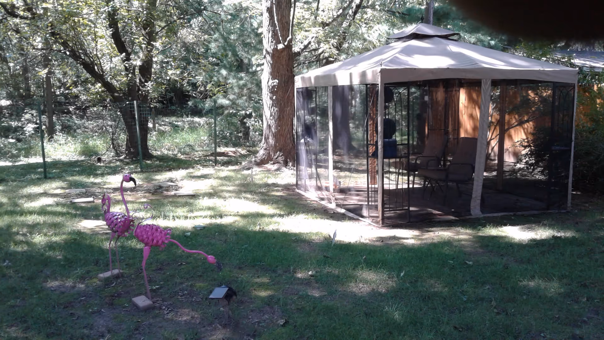 Outdoor garden area with green grass, trees, and two decorative pink flamingo statues. There is a gazebo with mesh sides and a white canopy roof, containing two chairs inside. The background shows dense foliage and a wooden structure partially visible.