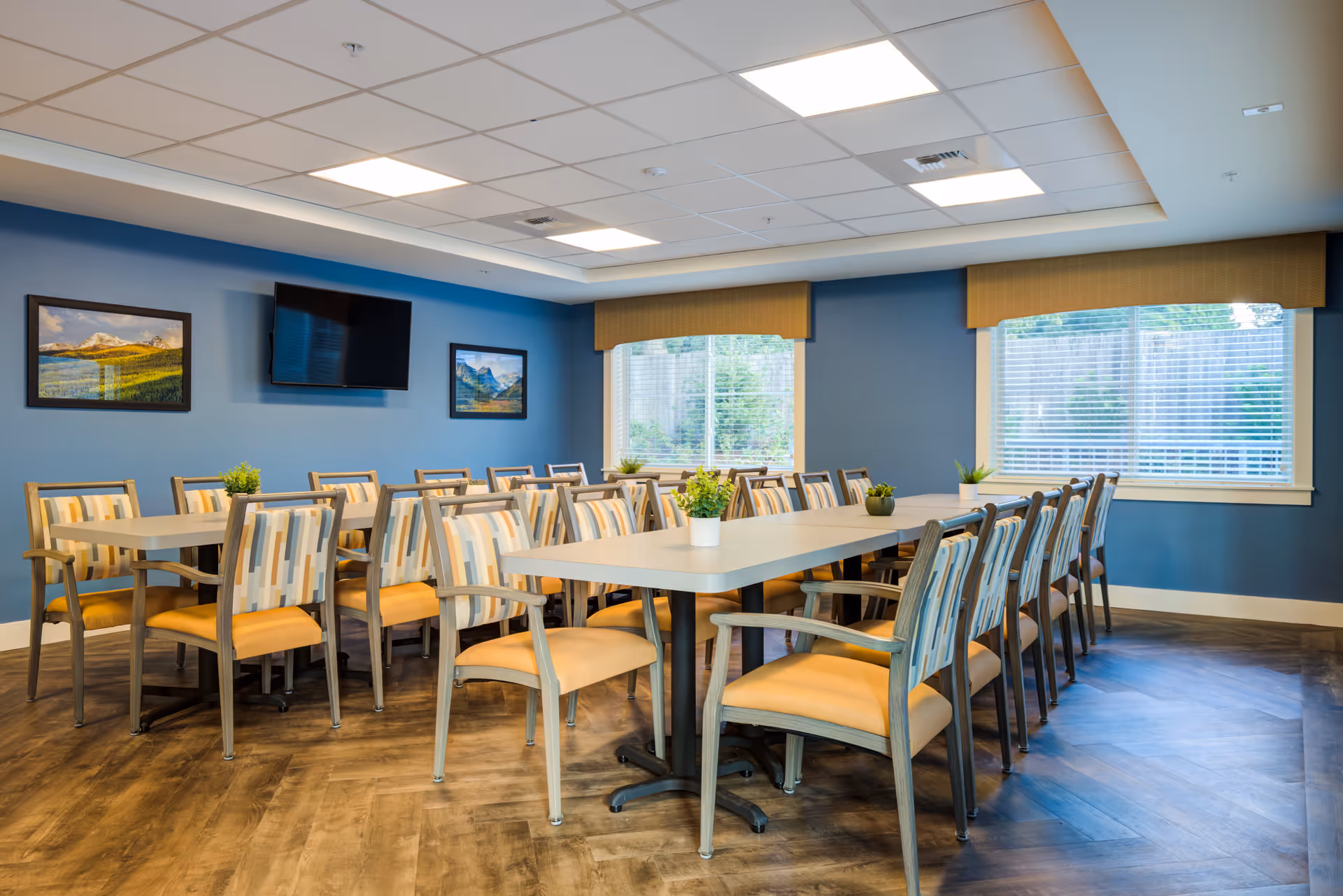 A bright dining room with two long tables surrounded by wooden chairs with yellow cushions and striped backs. The room has blue walls, two large windows with blinds and yellow valances, a mounted flat-screen TV, and framed landscape pictures on the wall. Small potted plants are placed on the tables.