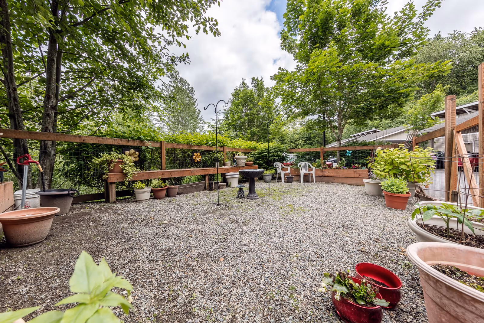 Outdoor garden area with gravel ground, surrounded by wooden fencing and lush green trees. Several potted plants are placed along the fence and on the ground. Two white plastic chairs and a birdbath or small fountain are visible in the background under a partly cloudy sky.