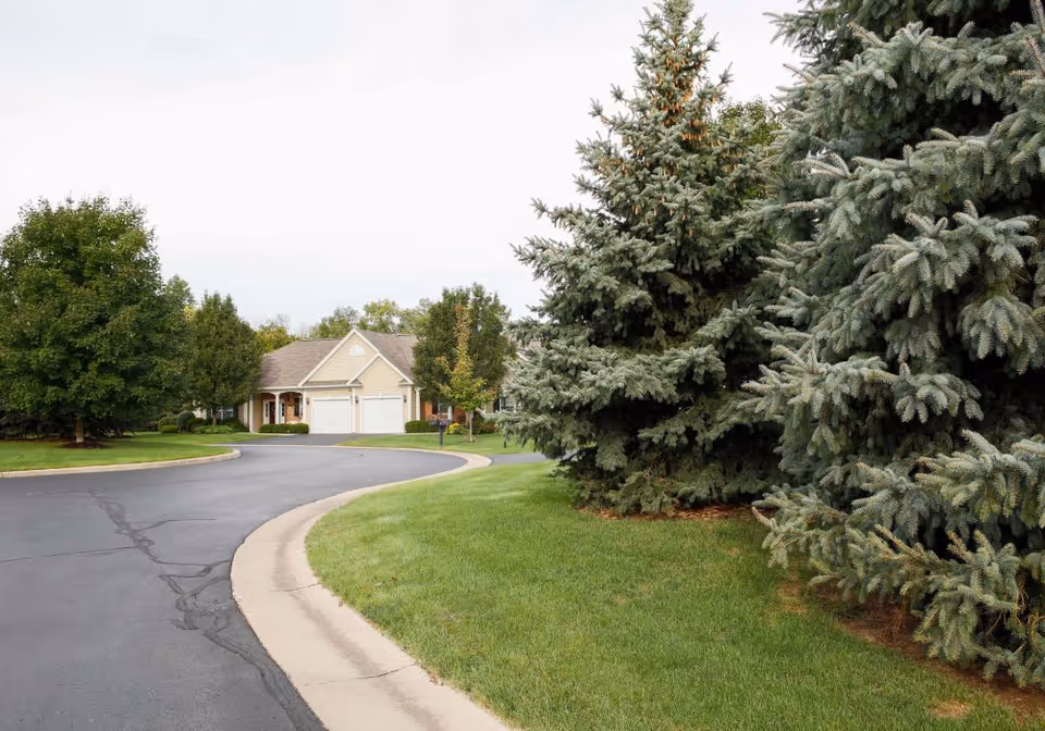 Curving paved road and manicured lawn leading to a light-colored townhome, with large evergreen trees in the foreground.
