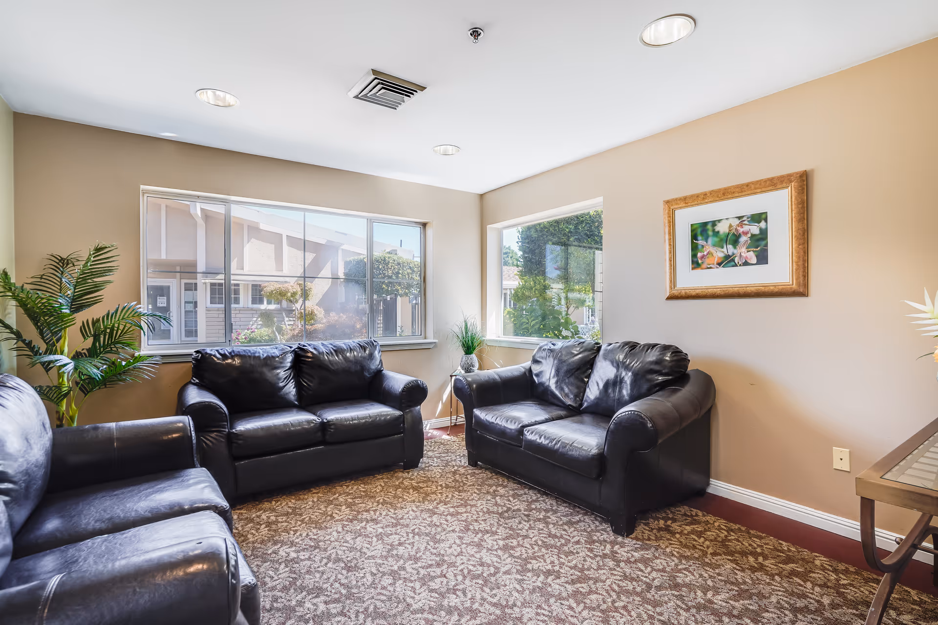 Bright seating area with three black leather sofas, large windows, potted plants, and framed artwork on the wall.