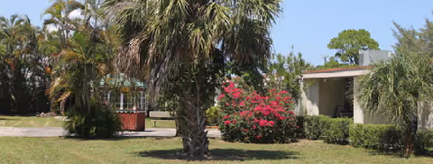 Outdoor view of a garden area with palm trees, green grass, and a bush with pink flowers in front of a single-story building under a clear blue sky.