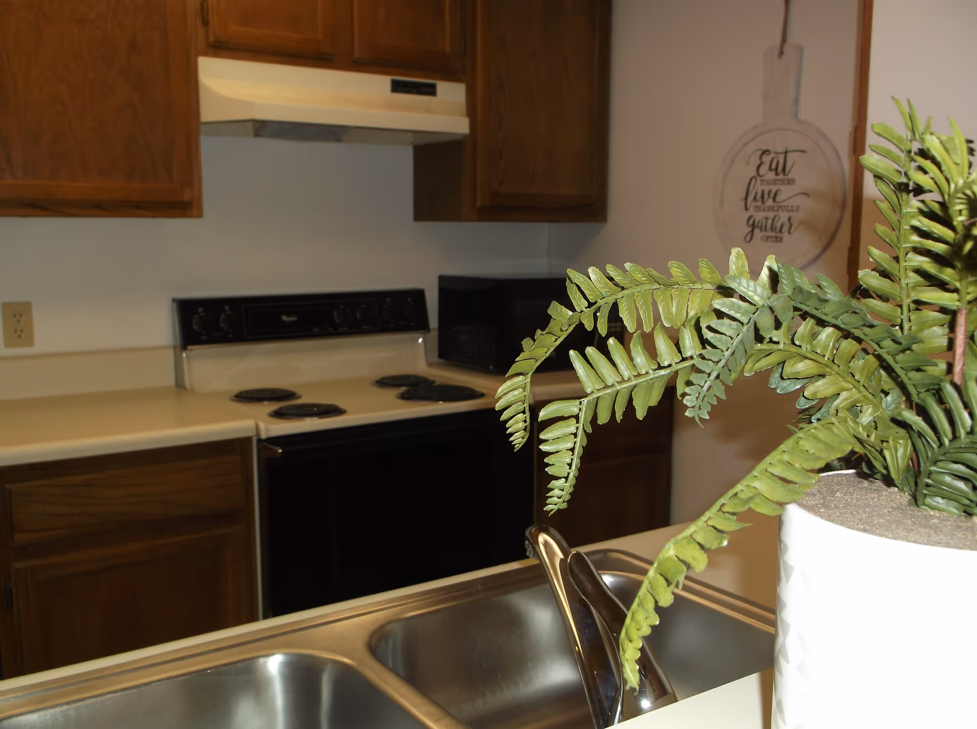 Kitchen countertop and double sink with a potted fern in the foreground, electric stove and wooden cabinets in the background.