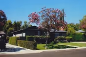A single-story senior living home with trimmed hedges and trees beside a sunny street.