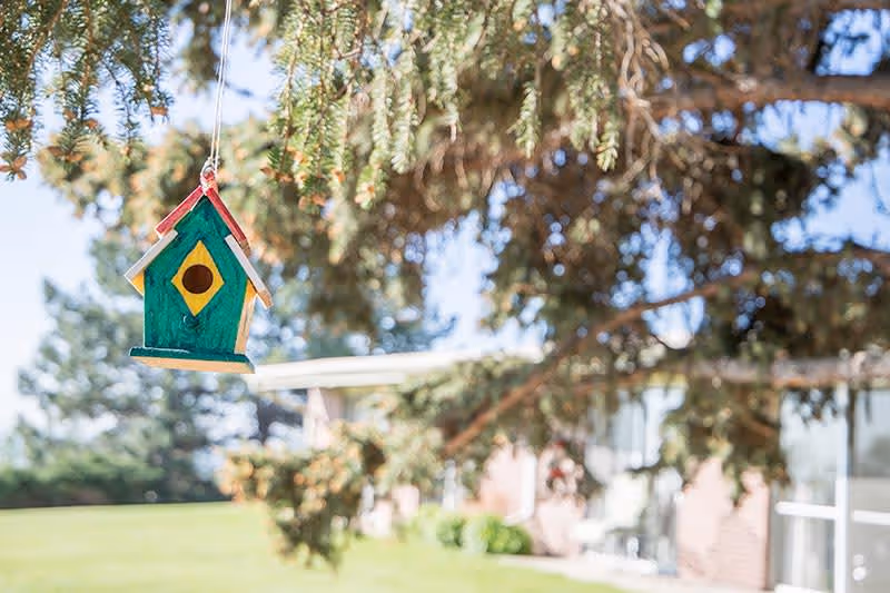 A colorful birdhouse painted green with a yellow diamond shape and a red roof hanging from a tree branch outdoors, with a blurred background showing a grassy area and part of a building.