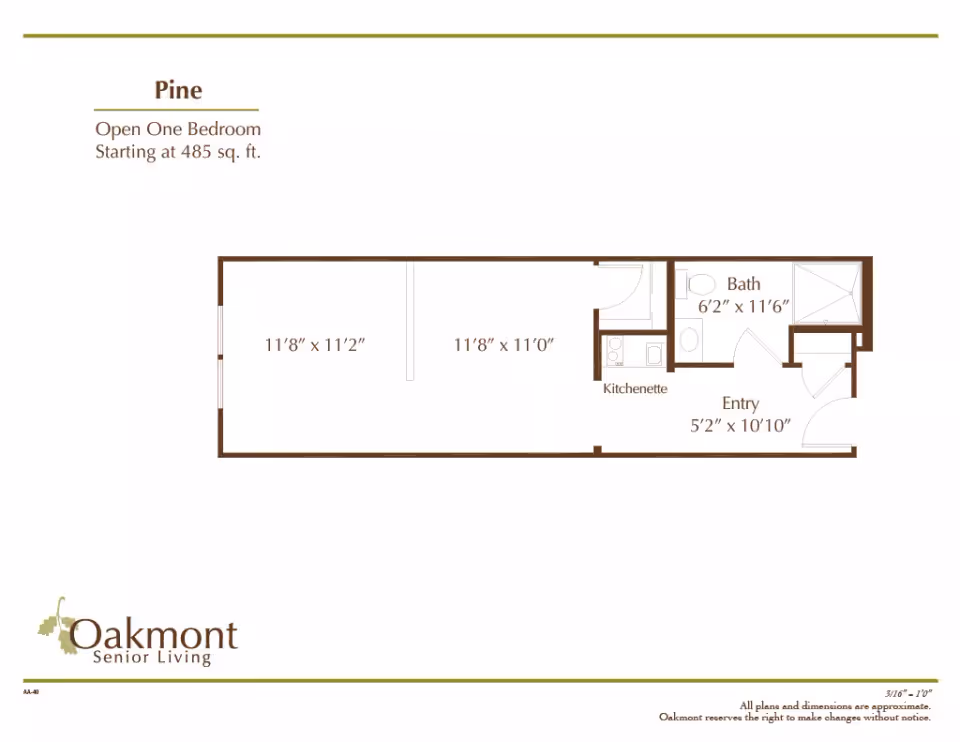 Floor plan for Pine, an open one-bedroom apartment starting at 485 square feet at Oakmont Senior Living. The layout includes a main living area measuring 11 feet 8 inches by 11 feet 2 inches, an adjacent area measuring 11 feet 8 inches by 11 feet, a kitchenette, a bathroom measuring 6 feet 2 inches by 11 feet 6 inches, and an entryway measuring 5 feet 2 inches by 10 feet 10 inches.