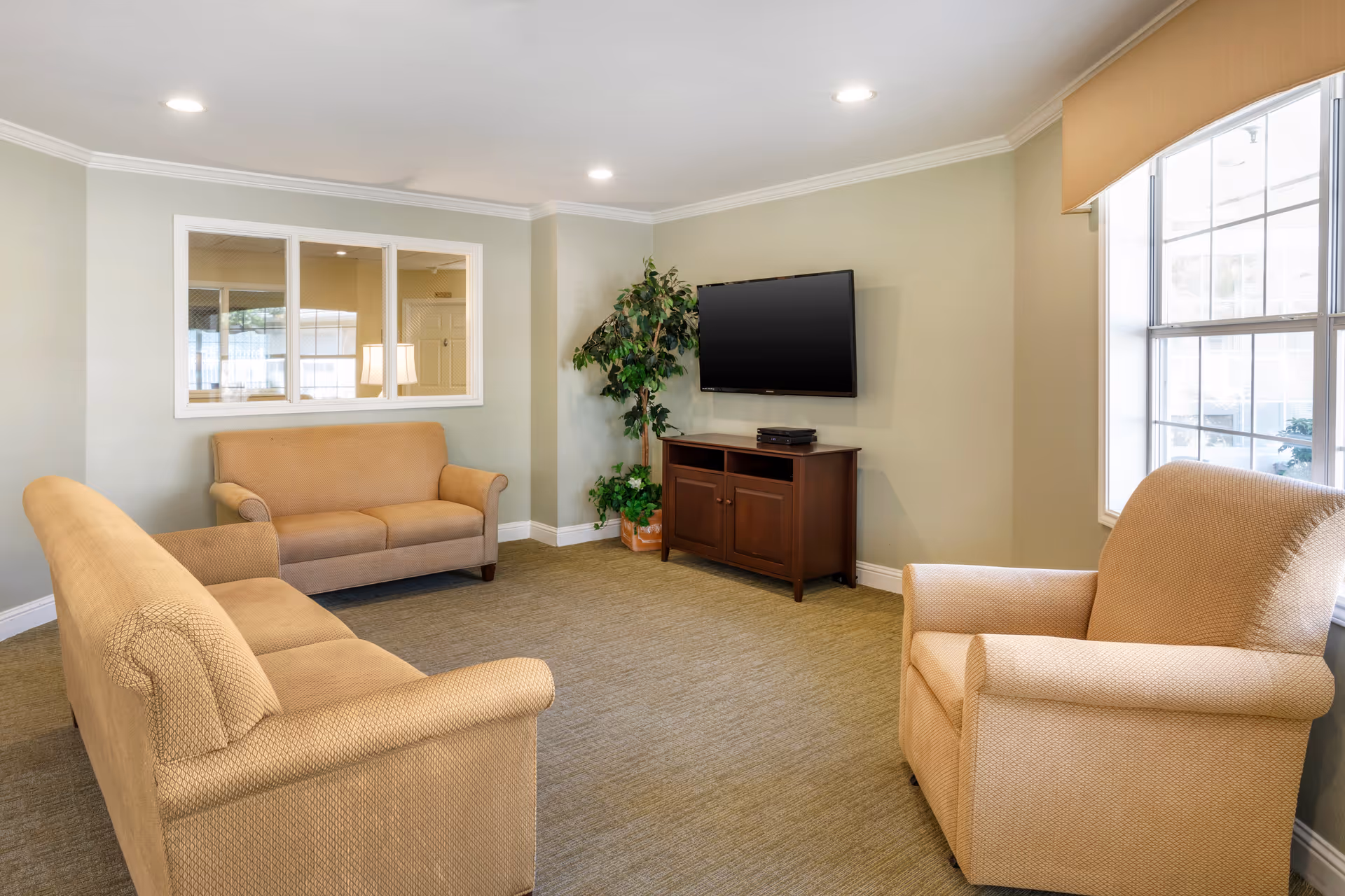 A cozy living room area with beige upholstered sofas and an armchair arranged around a wall-mounted flat-screen TV above a wooden cabinet. There is a large window on the right side letting in natural light and a green potted plant in the corner. The walls are painted light green and the carpet is a muted green tone.