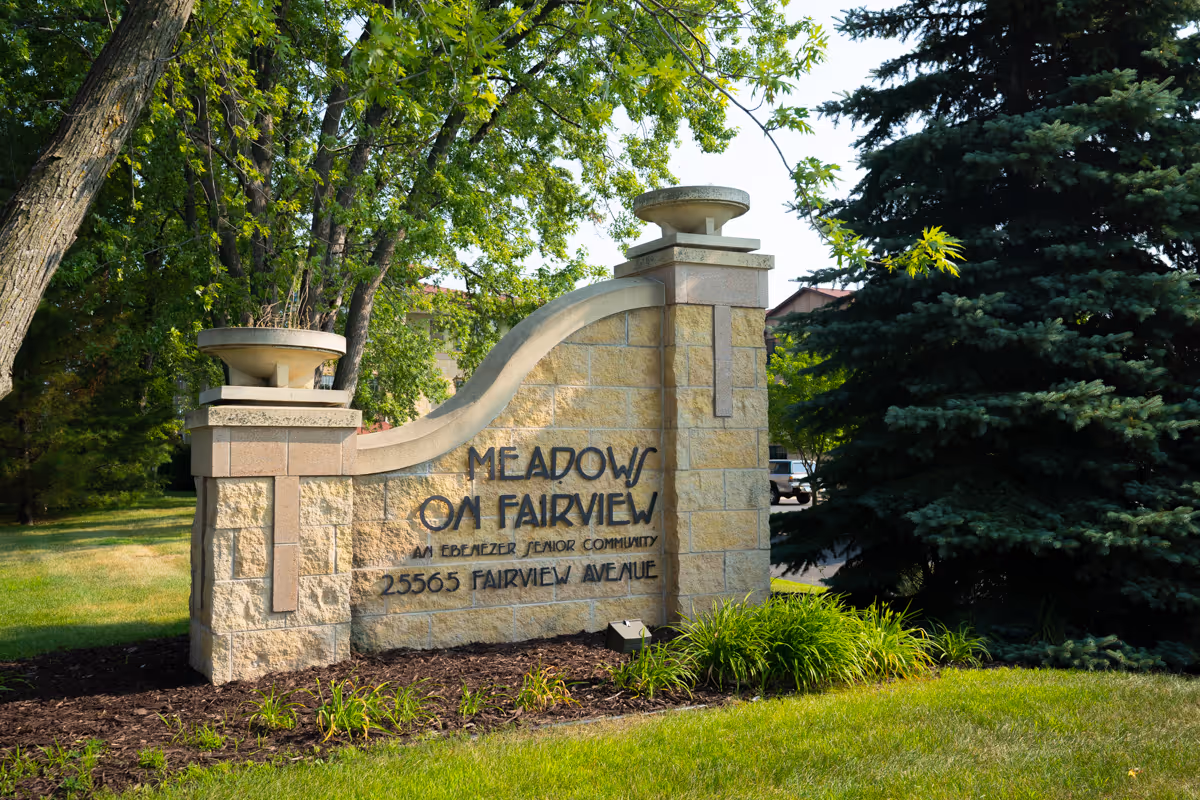 Stone entrance sign reading "Meadows on Fairview" surrounded by grass, plants, and trees.